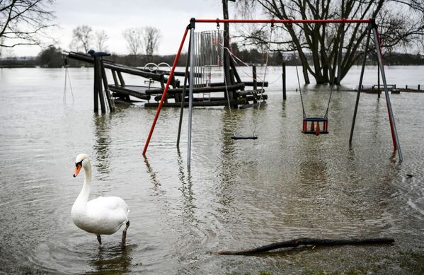 Rhine River Flooding Disrupts Traffic in Germany  - Sputnik International