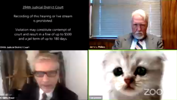 Attorney Rod Ponton appeared as a kitten during a court hearing - Sputnik International