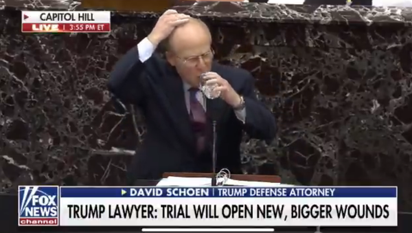 Screenshot from the video of Donald Trump's attorney David Schoen delivering his arguments before Senate during the impeachment trial - Sputnik International