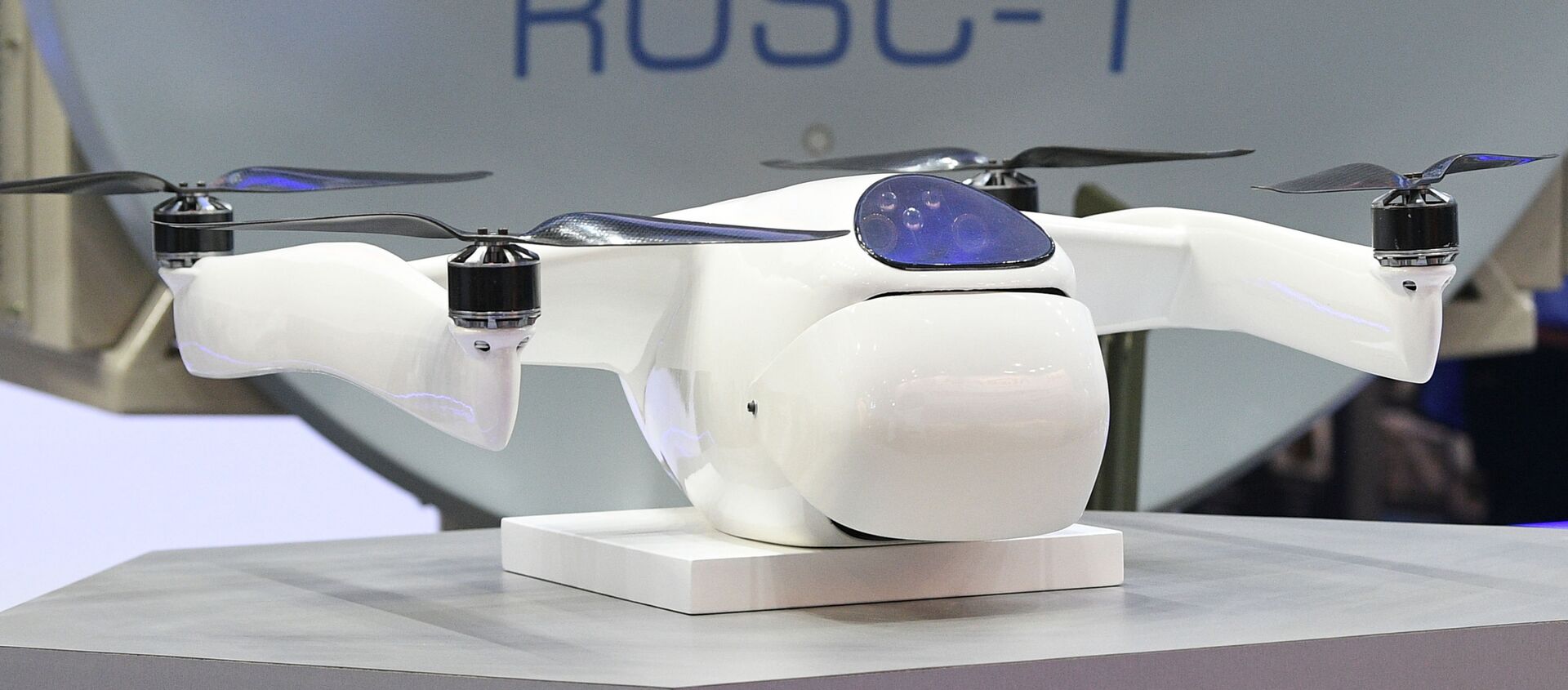 Volk-18, a new small drone-hunting UAV developed by Almaz-Antey. - Sputnik International, 1920, 10.02.2021
