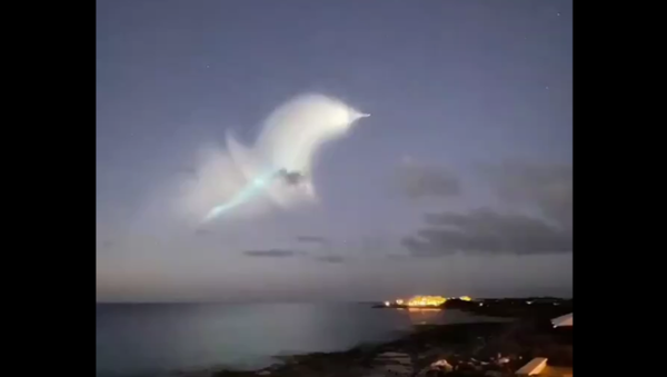 The exhaust plume of a Trident II submarine-launched ballistic missile shines in the high atmosphere off the coast of Florida on February 9, 2021 - Sputnik International