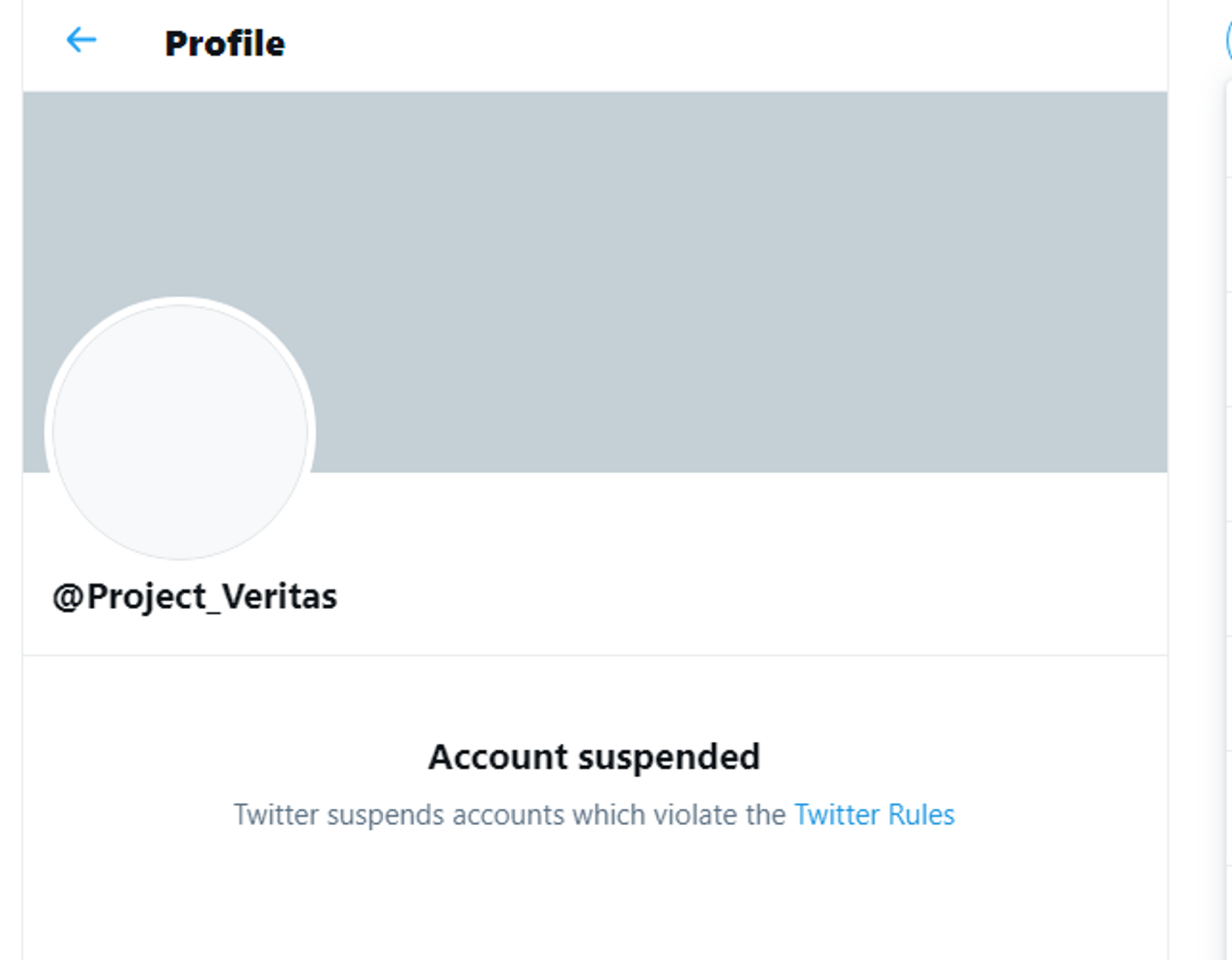 Twitter Suspends Project Veritas Account For 'Violation of Rules' - Sputnik International, 1920, 11.02.2021