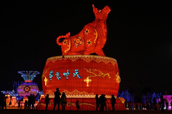 Celebration of Lunar New Year Across the World - Sputnik International