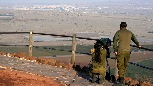 Israeli soldiers look towards Syria across the border from Mount Bental before a visit by U.S. Secretary of State Mike Pompeo and Israeli Foreign Minister Gabi Ashkenazi in the Israeli-occupied Golan Heights November 19, 2020 - Sputnik International