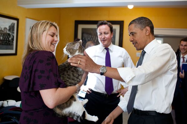 Larry, No.10's 'Chief Mouser', Celebrates 10 Years at Downing Street - Sputnik International