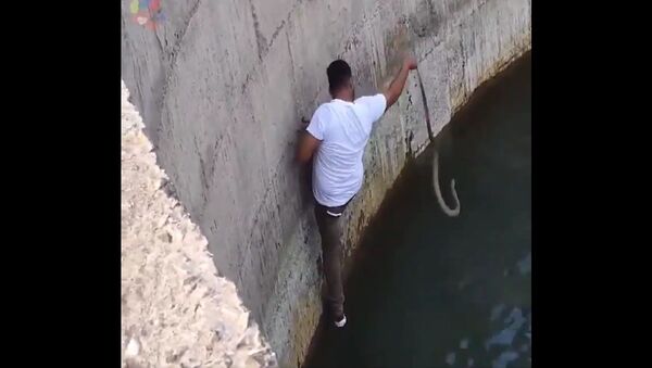 Man jumps into well to save a cobra from drowning - Sputnik International