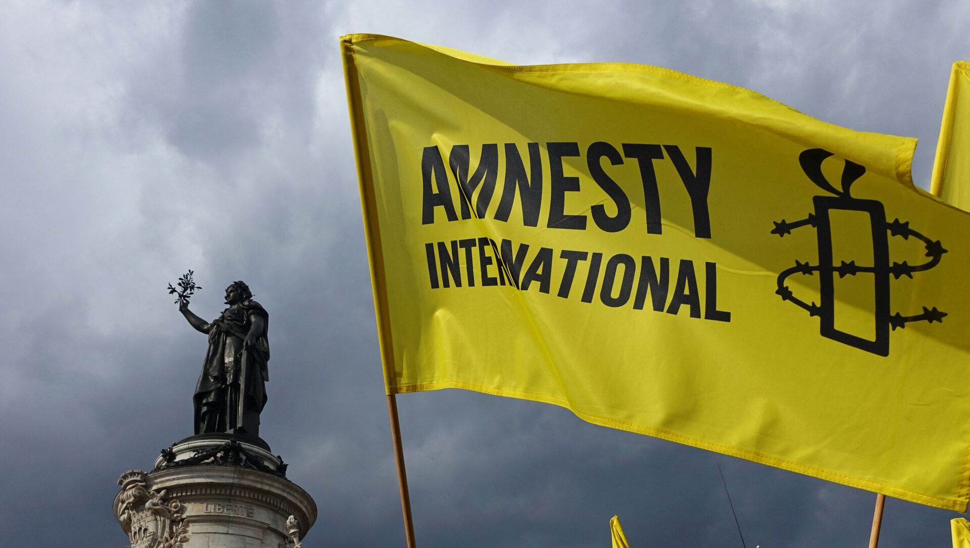Demonstrators wave Amnesty International flag during a protest in solidarity with migrants at Place de la Republique in Paris on September 5, 2015 - Sputnik International, 1920, 24.02.2021