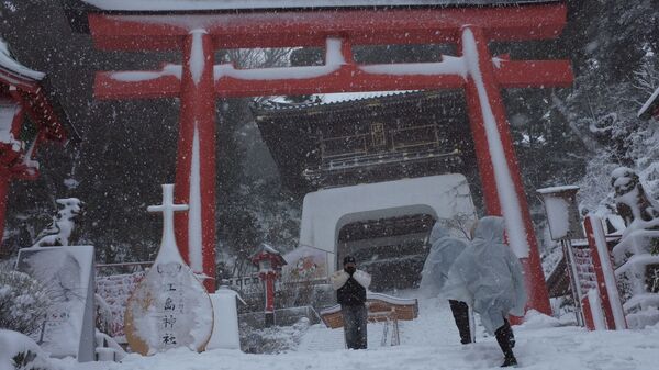 Последствия сильнейшего за 13 лет снегопада в Токио, февраль 2014 года - Sputnik International