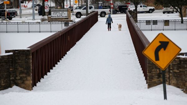 Anna Thomasson walks her dog, Penny, across the White Rock Lake Spillway after winter weather caused electricity blackouts in Dallas - Sputnik International
