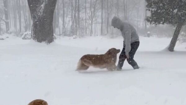 Well, I think this calls for a celebration! - Sputnik International