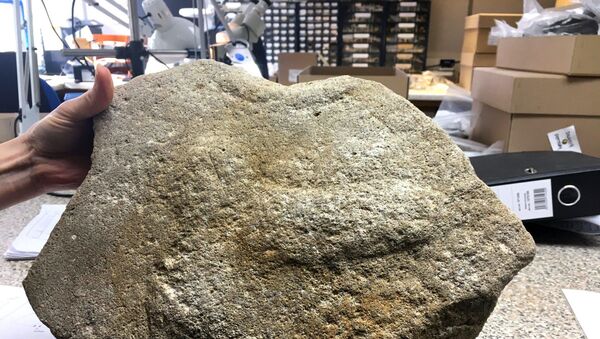 Ancient Grindr.  Millstone with phallus found during roadwork.  - Sputnik International