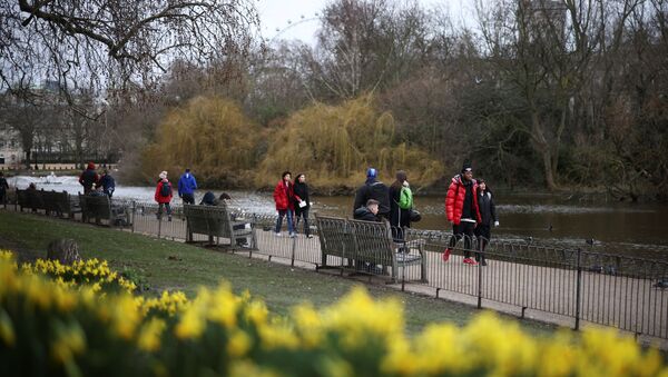 People walk past daffodils in St James's Park, amid the coronavirus disease (COVID-19) outbreak in London, Britain February 19, 2021.  - Sputnik International