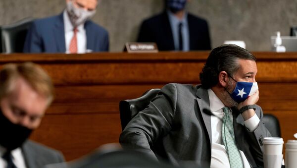 Sen. Ted Cruz, R-Texas, appears at a Senate Homeland Security and Governmental Affairs & Senate Rules and Administration joint hearing on Capitol Hill, Washington, U.S., February 23, 2021, to examine the January 6th attack on the Capitol - Sputnik International