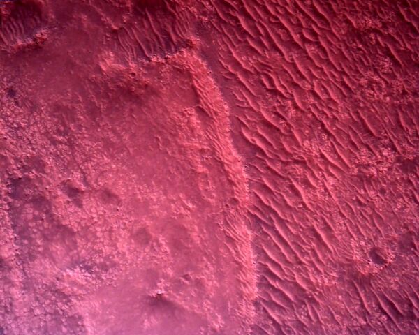 First High-Resolution Photos of Martian Surface Taken by Perseverance Rover  - Sputnik International