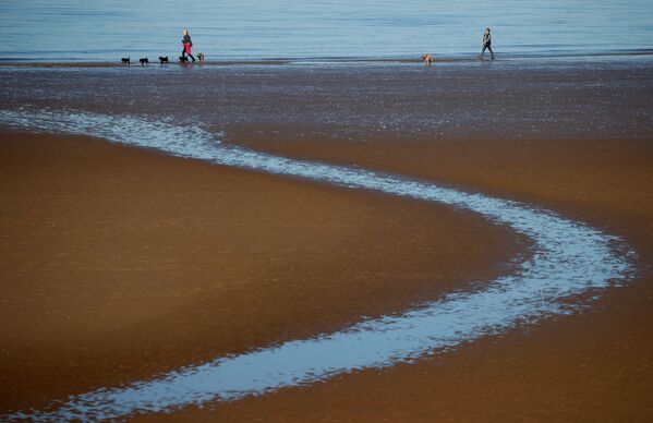 People walk their dogs along the beach at New Brighton, England, 22 February 2021. - Sputnik International