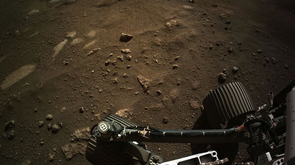 Вид с навигационной камеры на марсоход Perseverance Mars Rover - Sputnik International