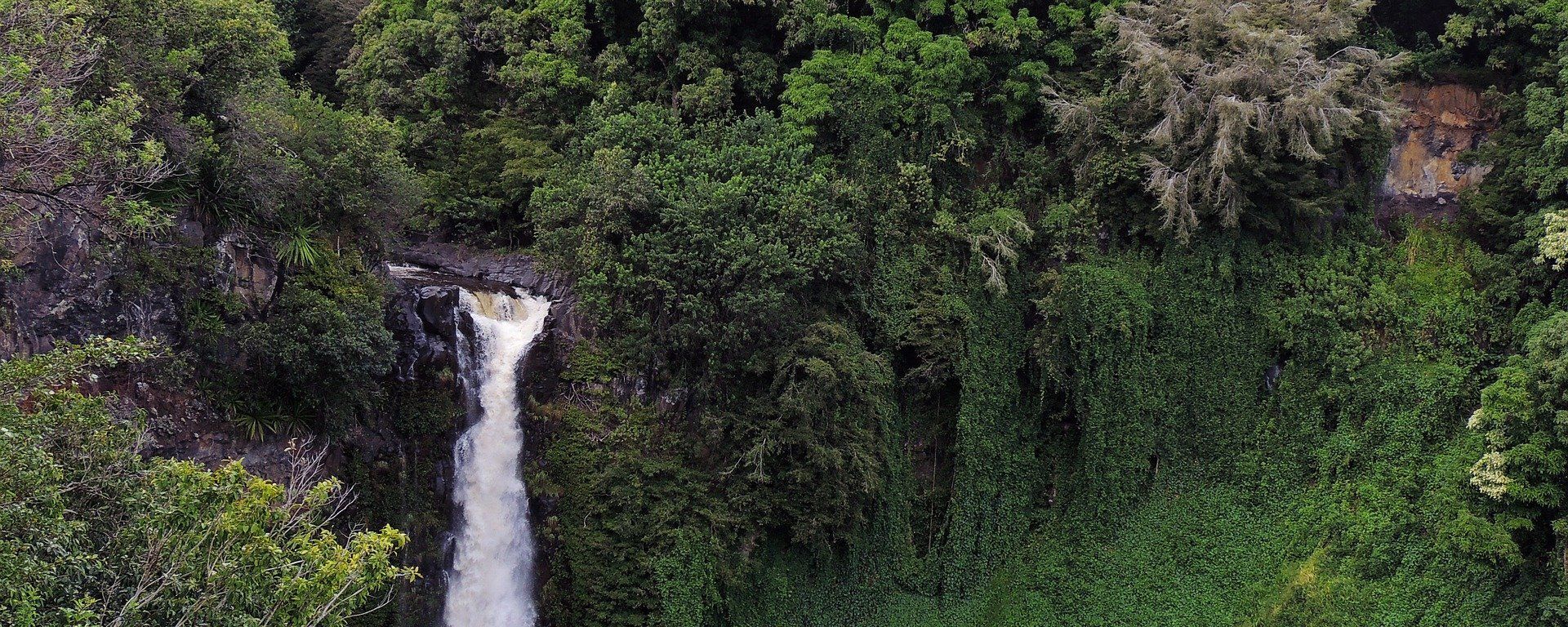 Amazon rainforest - Sputnik International, 1920, 26.02.2021