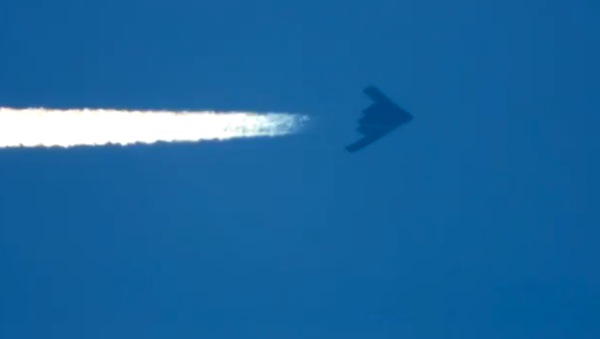 Screenshot from the video showing B-2 Stealth Bomber cruising in the sky above Utah - Sputnik International