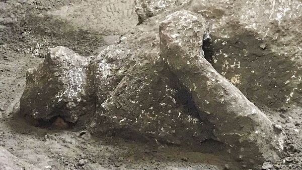 The casts of one of two bodies that are believed to have been a rich man and his male slave fleeing the volcanic eruption of Vesuvius nearly 2,000 years ago, are seen in what was an elegant villa on the outskirts of the ancient Roman city of Pompeii destroyed by the eruption in 79 A.D., where they were discovered during recents excavations, Pompeii archaeological park officials said Saturday, Nov. 21, 2020 - Sputnik International