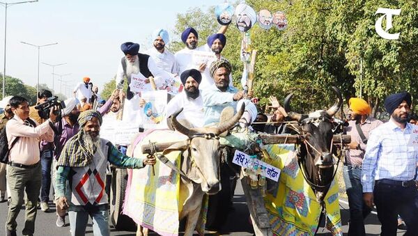 Akali MLAs ride to Punjab Assembly on bullock carts - Sputnik International