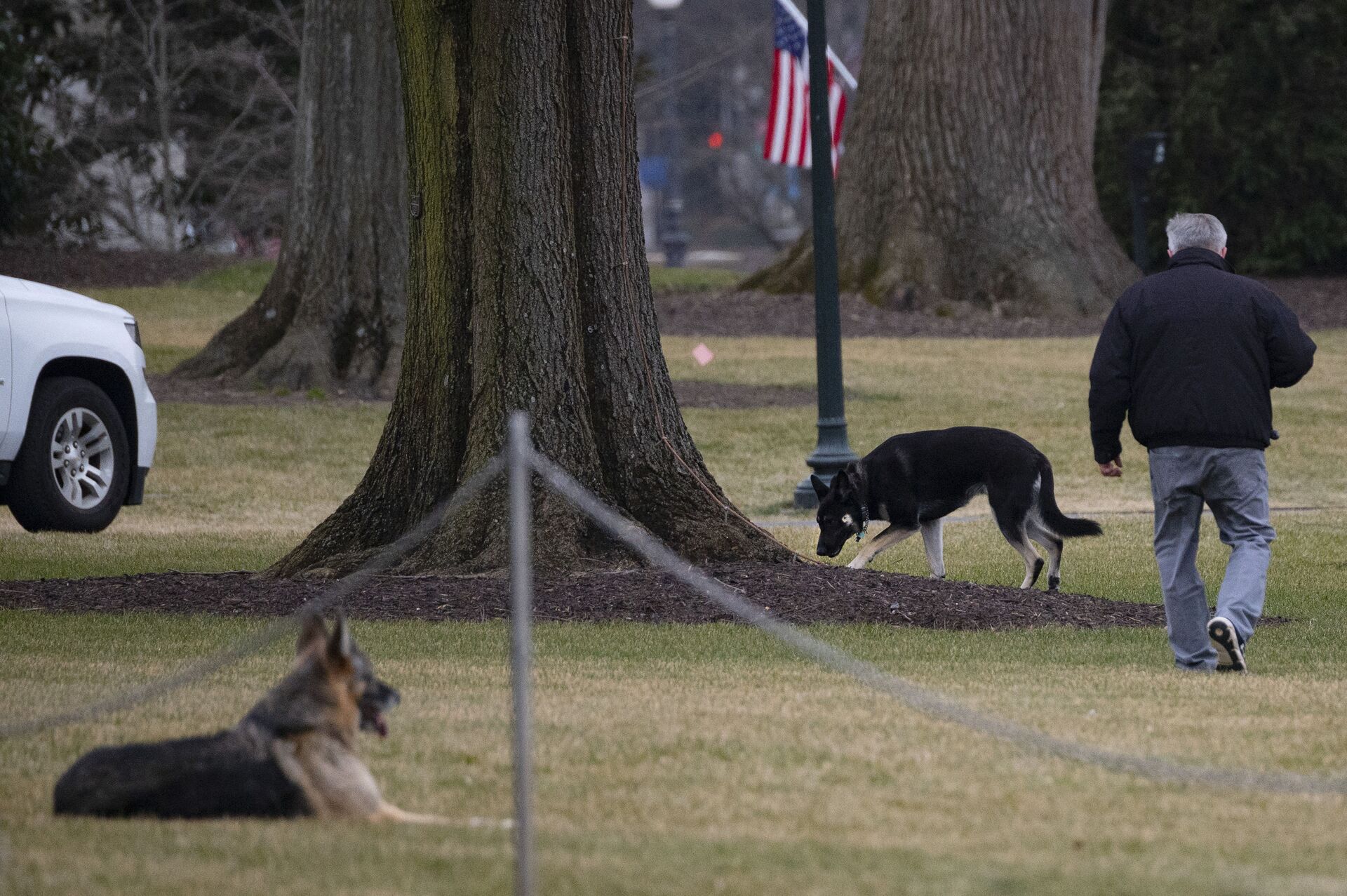 Comeback Kids: Biden Family Dogs Return to White House After Nipping Incident - Sputnik International, 1920, 24.03.2021
