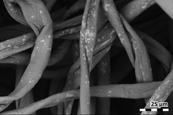 Individual fibres in a cotton flannel face mask photographed using a scanning electron microscope. - Sputnik International