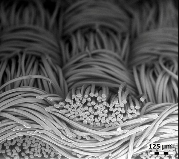 Fibres of a polyester face mask seen through a microscope. - Sputnik International