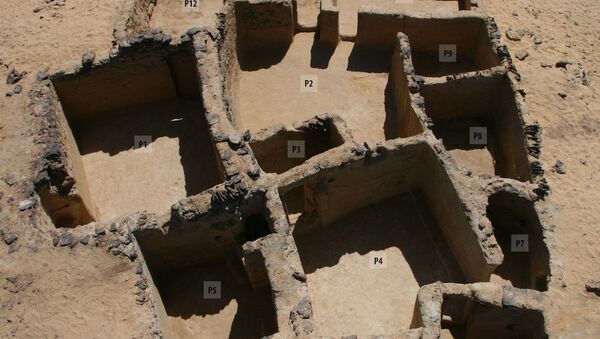 A handout picture released by the Egyptian Ministry of Tourism and Antiquities on March 13, 2021 shows a view of rock inscriptions from the Bible in ancient Greek dating back to the 5th century AD, discovered in the Tal Ganoub Qasr Al-Ajouz site in the Western Desert Bahariya Oasis - Sputnik International