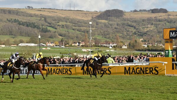 Jockey Paul Townend (1st-R) rides Al Boum Photo as he crosses the finish line to win the Gold Cup race on the final day of the Cheltenham Festival horse racing meeting at Cheltenham Racecourse in Gloucestershire, south-west England, on March 13, 2020. - Sputnik International