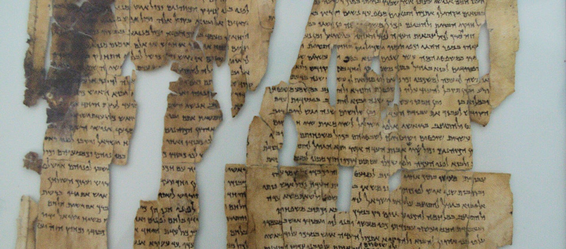 Dead Sea Scroll -- the World's Oldest Secrets (File) - Sputnik International, 1920, 23.04.2021
