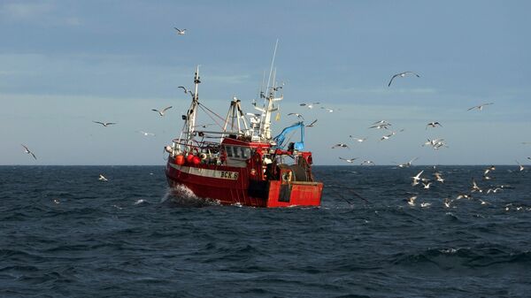 Guls surround a fishing trawler as it works in the North Sea, off the coast of North Shields, in northeast England on January 21, 2020 - Sputnik International