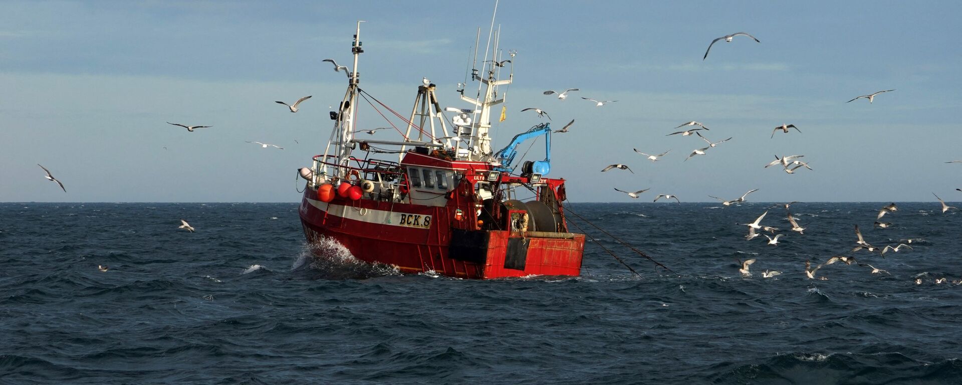 Guls surround a fishing trawler as it works in the North Sea, off the coast of North Shields, in northeast England on January 21, 2020 - Sputnik International, 1920, 21.02.2022