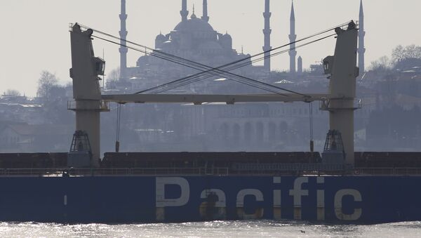 A merchant ship crosses the Bosporus in Istanbul, Friday, March 24, 2017. - Sputnik International