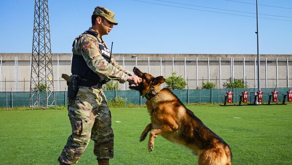 U.S. Army Sgt. Patrick Harrington, Soldier assigned to the USAG Italy 18th Military Police Detachment, conducts basic obedience drills with his military working dog “Aran”, under Covid-19 prevention condition at Caserma Ederle in Vicenza, Italy, on May 14, 2020 - Sputnik International