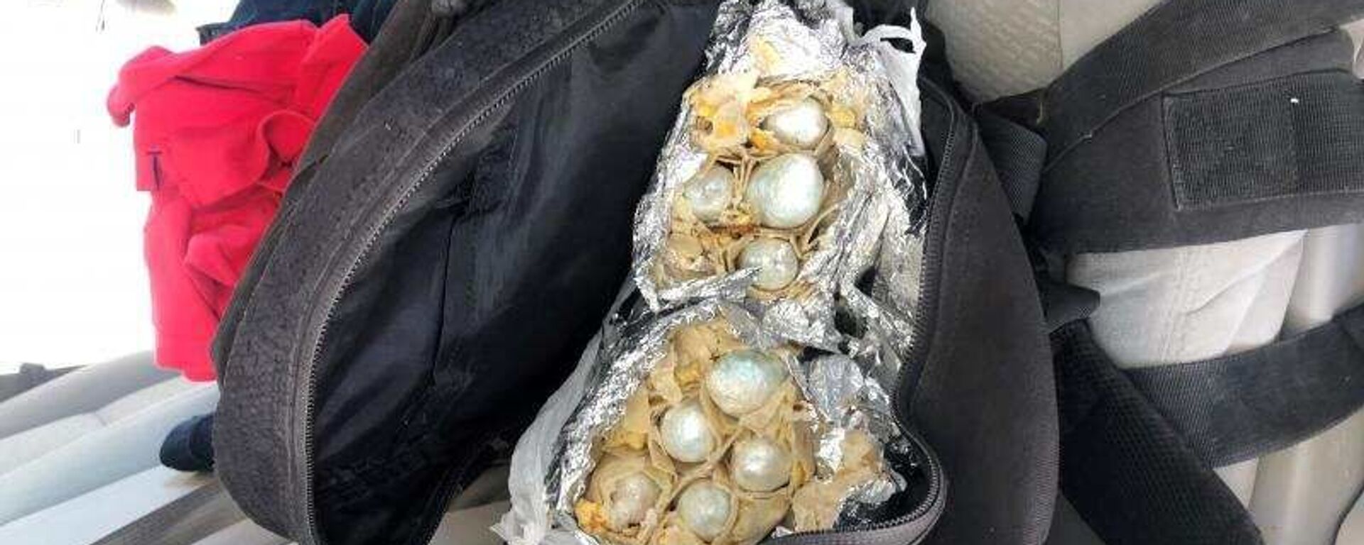 BP agents found five pounds of fentanyl stuffed inside of burritos. - Sputnik International, 1920, 24.07.2022