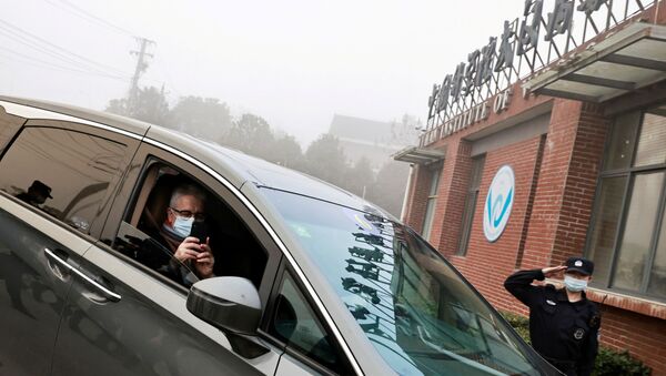 Dominic Dwyer, a member of the World Health Organization (WHO) team tasked with investigating the origins of the coronavirus disease (COVID-19), sits in a car arriving to Wuhan Institute of Virology in Wuhan, Hubei province, China February 3, 2021.  - Sputnik International