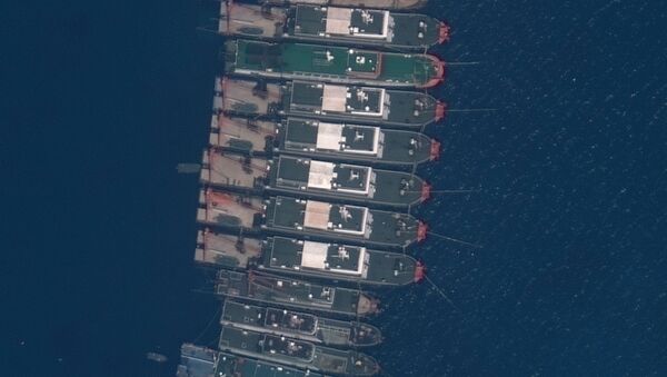 Close up view of fishing vessels anchored at Whitsun Reef, which Manila calls the Julian Felipe Reef, in this Maxar handout satellite image taken March 23, 2021 - Sputnik International