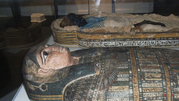  Takabuti Egyptian Mummy Belfast Museum - Sputnik International