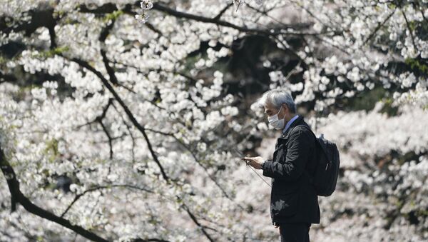 A man wearing a protective face mask stands near blooming cherry blossom trees Thursday, April 2, 2020, in Tokyo - Sputnik International
