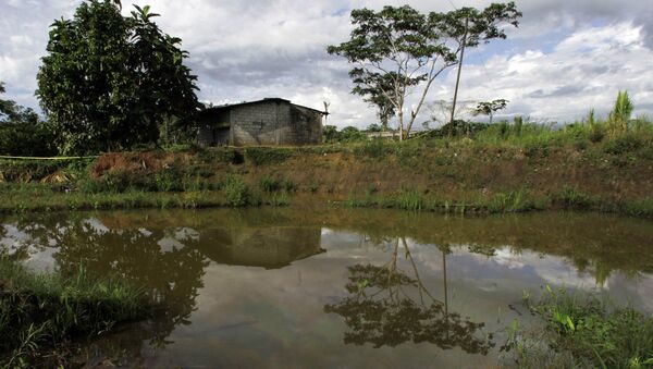 Oil floats in the water near a home in Lago Agrio, Ecuador on Aug. 4, 2008. Ecuador's President Rafael Correa has sided squarely with the 30,000 plaintiffs, Indians and colonists, in a class-action suit, dubbed an Amazon Chernobyl by environmentalists, over the slow poisoning of a Rhode Island-sized expanse of rainforest with millions of gallons of oil and billions more of toxic wastewater. - Sputnik International