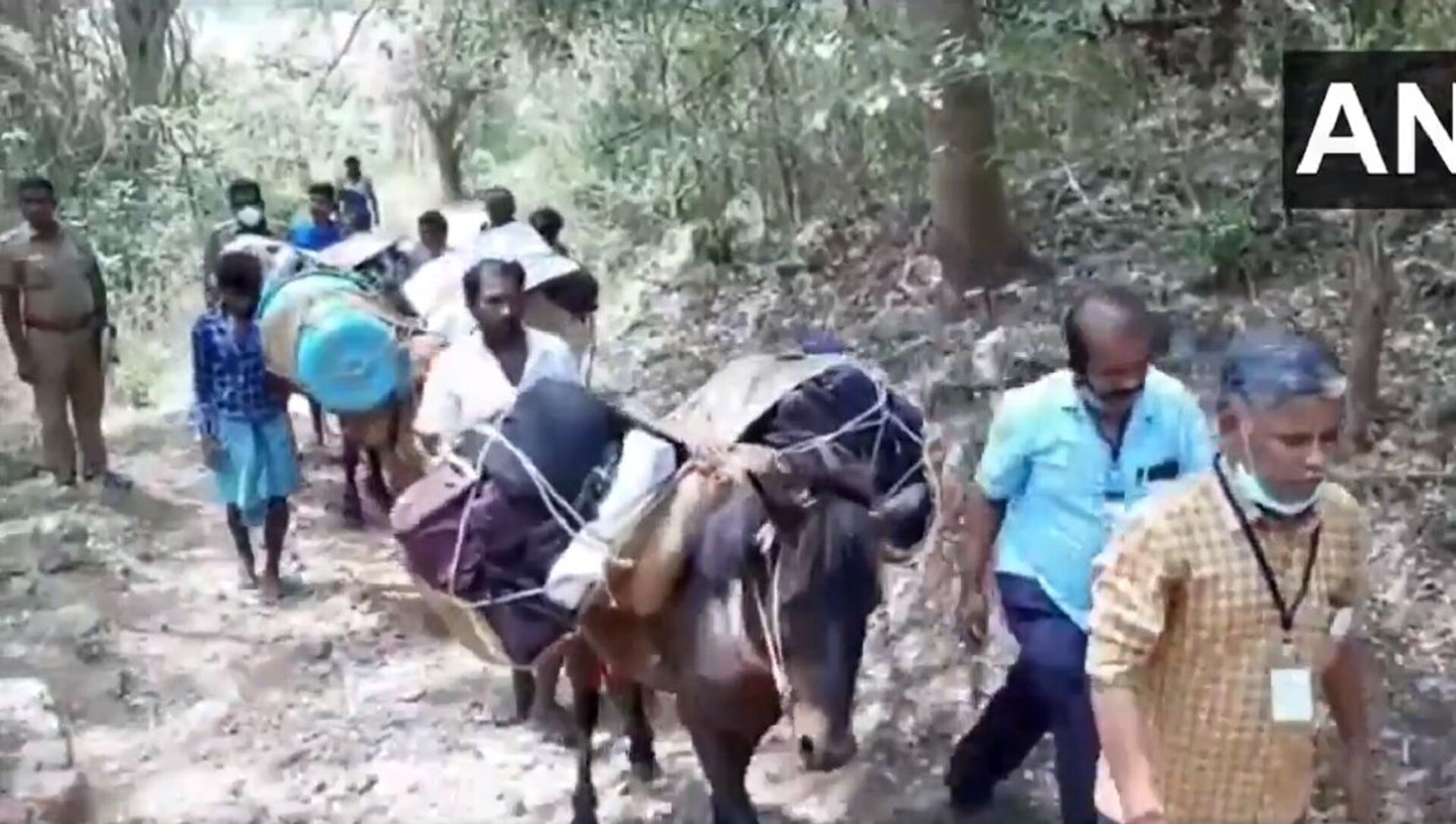 How do you like that, Elon Musk? Donkeys carry EVMs to villages in the Natham area of ​​Dindigul district in Tamil Nadu, ahead of assembly elections tomorrow. - Sputnik International, 1920, 06.04.2021