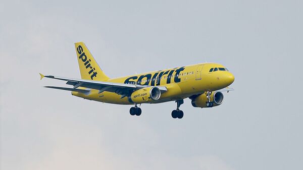 A Spirit Airlines jet comes in for a landing at the airport in Latrobe, Pa., Sunday, July 28, 2019. - Sputnik International