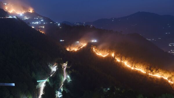 Wildfires burn in hills around New Tehri at Bourari in the Indian state of Uttarakhand  (File) - Sputnik International