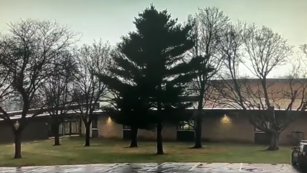 Video: Thrilling Lightning Burnes Tree to the Ground in Wisconsin - Sputnik International