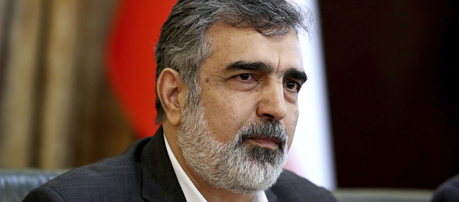 In this July 7, 2019, file photo, spokesman of the Atomic Energy Organization of Iran Behrouz Kamalvandi speaks in a press briefing in Tehran, Iran. Iran has begun injecting uranium gas into advanced centrifuges in violation of its 2015 nuclear deal with world powers, Kamalvandi said Saturday, Sept. 7, 2019 - Sputnik International, 1920, 11.04.2021