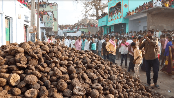 Cow poop flies as Indian villagers throw dung at each other…  - Sputnik International