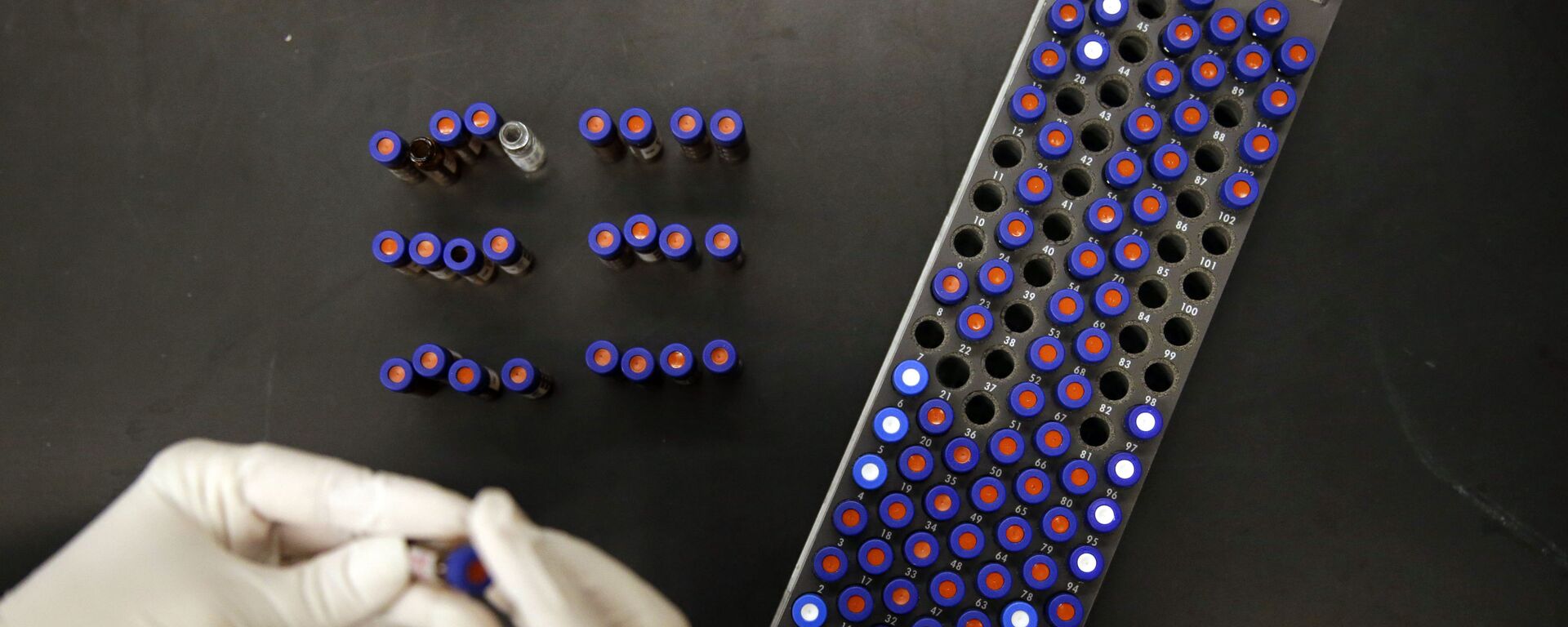 In this Aug. 10, 2015, photo, Christine Jelinek, a postdoctoral fellow at Johns Hopkins University, works alongside a tray of vials containing cerebral spinal fluid in Baltimore. Dr. Akhilesh Pandey, a researcher at Johns Hopkins University, said his research analyzes both adult and fetal tissue, and by identifying which proteins are present, he can get clues that could be used to help detect cancer in adults earlier. - Sputnik International, 1920, 23.05.2022