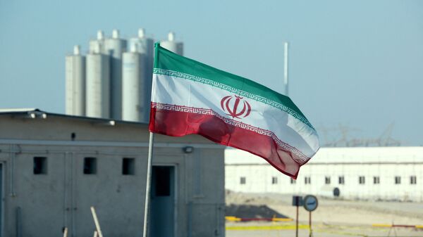 A picture taken on 10 November 2019, shows an Iranian flag in Iran's Bushehr nuclear power plant, during an official ceremony to kick-start work on a second reactor at the facility - Sputnik International