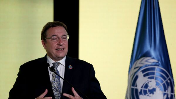 Administrator of United Nations Development Programme (UNDP) Achim Steiner - Sputnik International