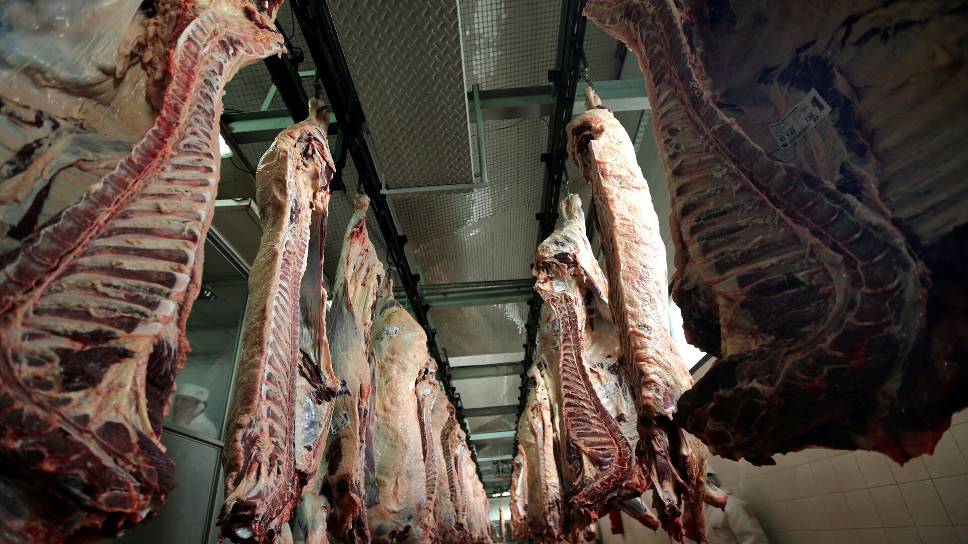 Beef carcasses hanging up at an abattoir in Argentina.  - Sputnik International, 1920, 04.05.2021